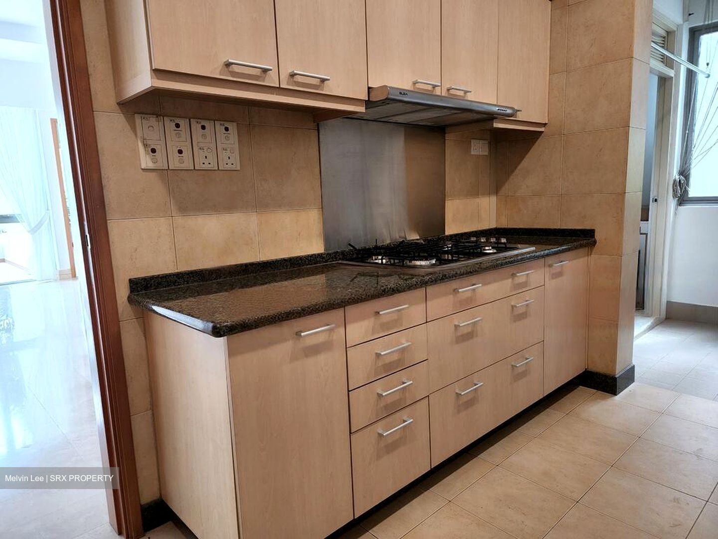 The Tessarina (D10), Condominium #463566091